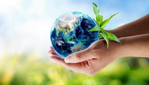 fast food chains lead the way in contributing to india s co2 emissions